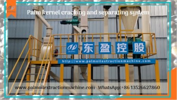 Efficient Palm Kernel Cracker and Separator Machine for Nut Shelling