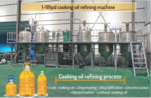Mini 10tpd  batch type vegetable cooking  edible oil refinery plant