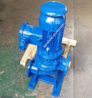 LW Vertical sewage drainage pump