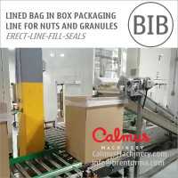 Bag in Box Forming Filling Sealing Line for Packaging Nuts Granules