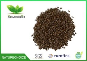 Best Organic Cassia Seeds