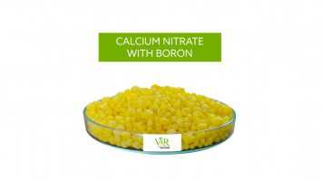 Calcium Nitrate with Boron for Enhanced Plant Growth and Fruit Development