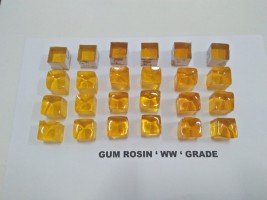 Gum Rosin (PM-002)