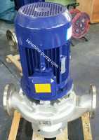 GW Vertical in-line sewage pump