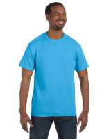 Hanes 5250T Men's Authentic Short-Sleeve Cotton T-Shirt