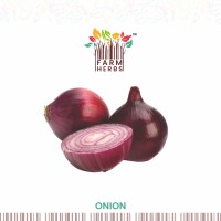 Export Quality Onion - Premium Red Onions from India