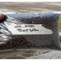 Indian Black Pepper: Quality Supplier for B2B Buyers