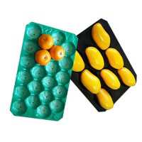 Multicolor Disposable Fruit Tray Packaging Plastic Liner Tray