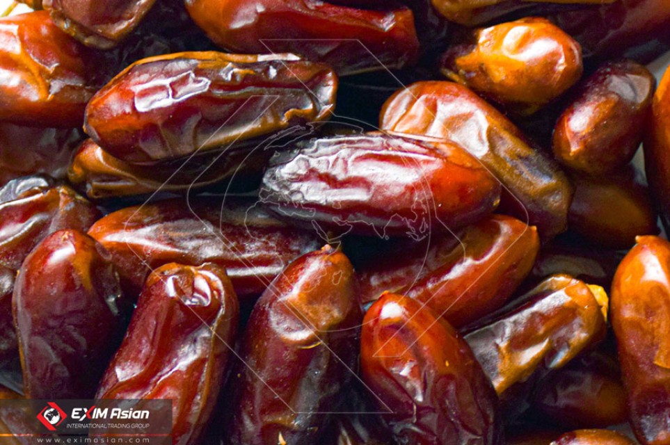 Iranian Fresh & Dried Dates