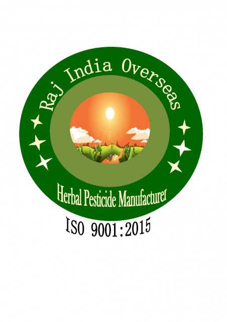 Raj India Overseas