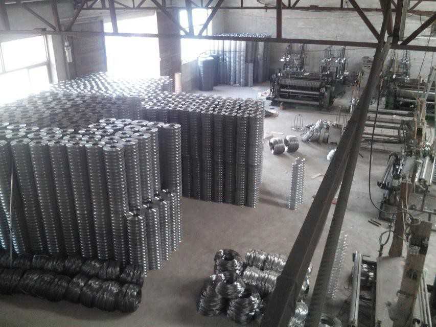 Anping Glory Wire Mesh Products Factory 