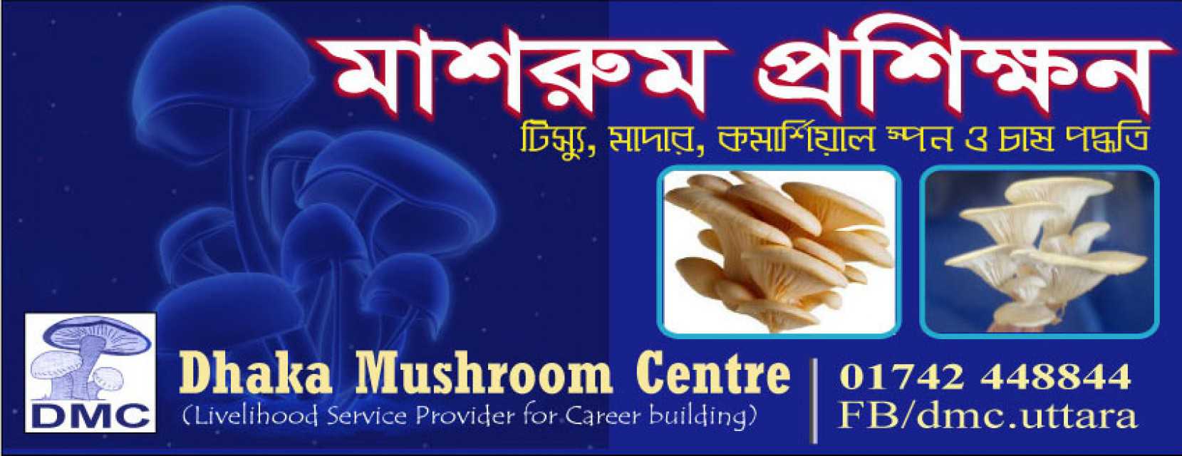 Dhaka Mushroom Centre -dmc