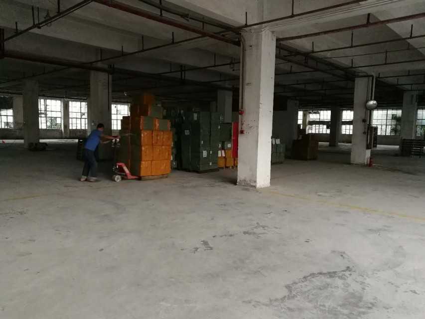 Guangzhou D&m Shipping Co. Ltd.