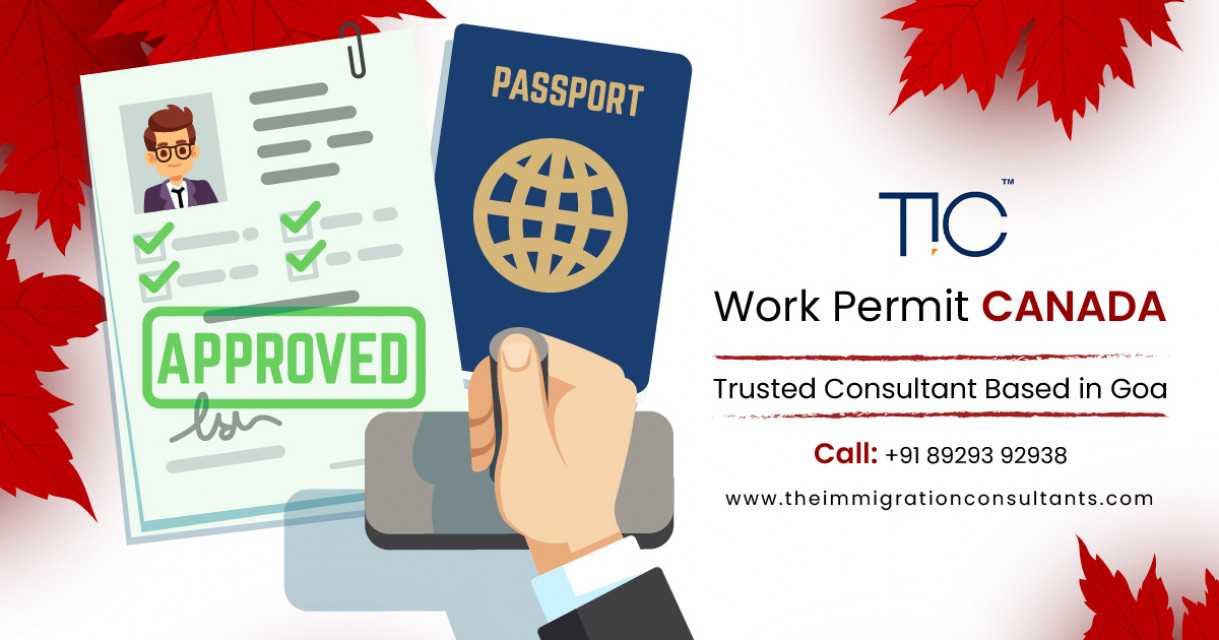 The Immigration Consultants