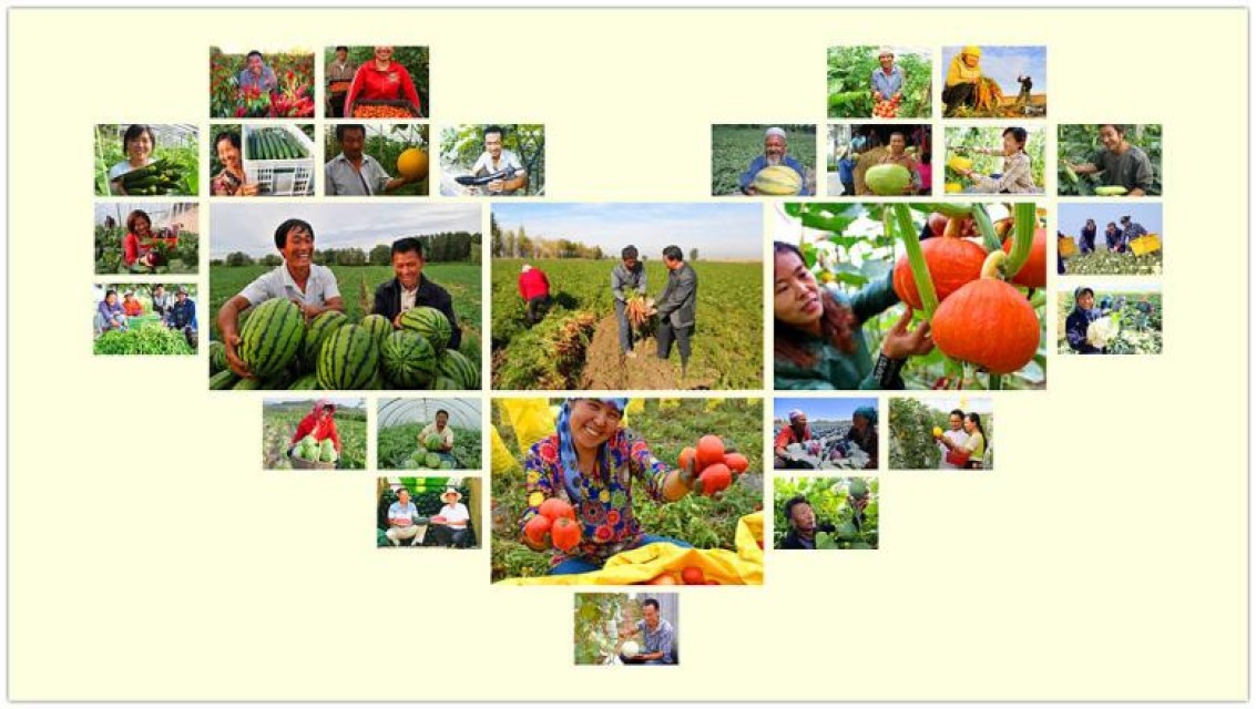Shijiazhuang Lianshou Seed Sales Co. Ltd