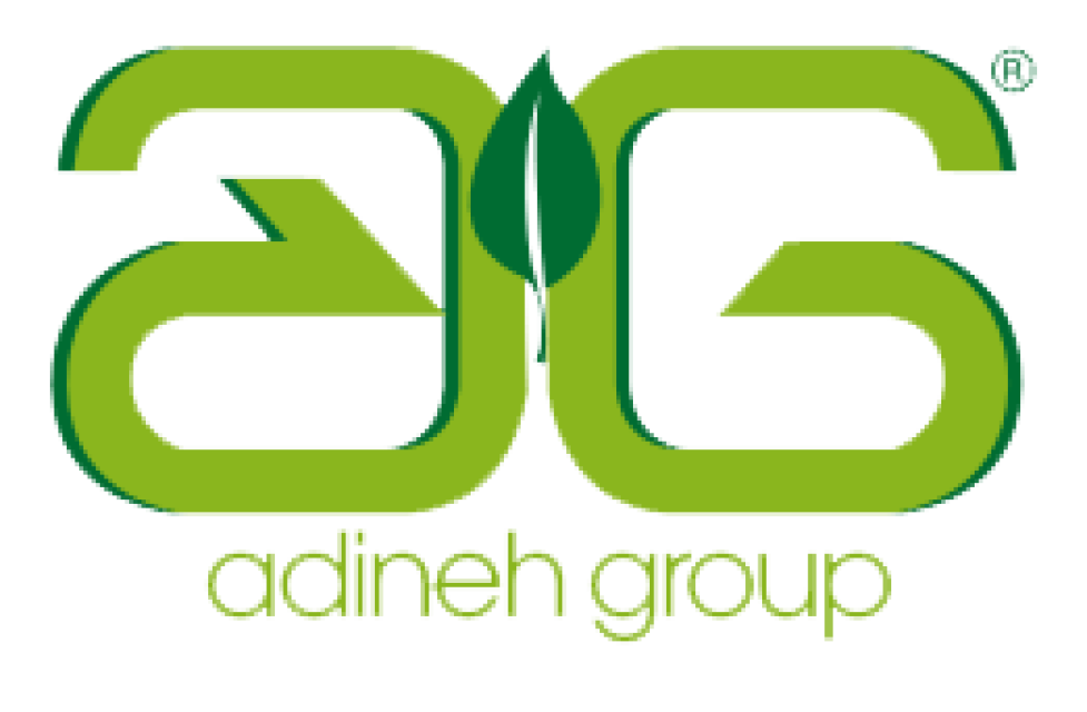 Adine Group