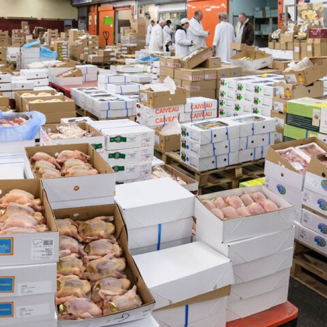 Brazil Frozen Chicken Exporters