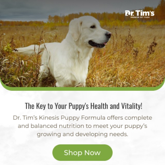 Dr. Tim's Pet Food Company