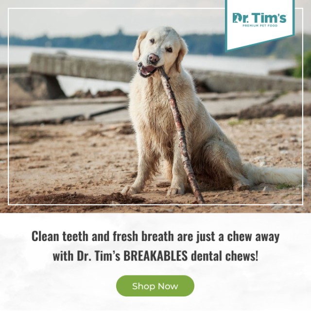 Dr. Tim's Pet Food Company