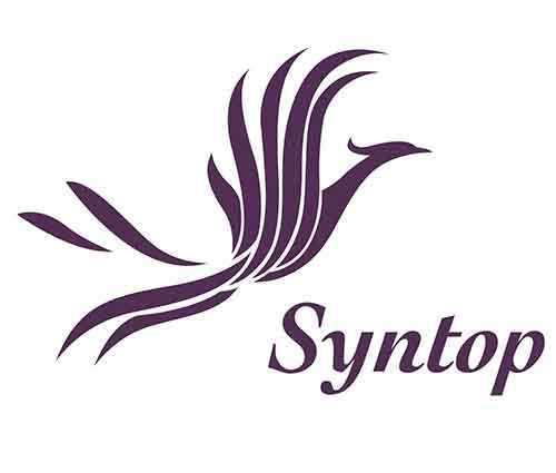 Syntop Chemical Co Ltd