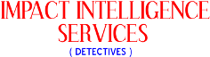 Impact Intelligence Services