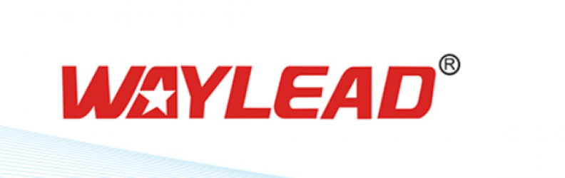 Cixi Waylead Electric Motor Manufacturing Co. ltd