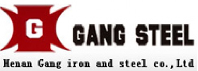 Henan Gang Iron and Steel Co. Ltd