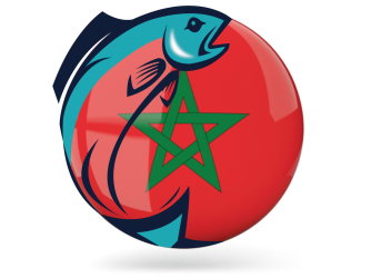 Moroccan Sardine