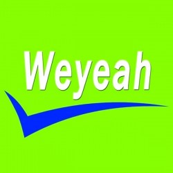 Wuhan Weyeah Power Machinery Co Ltd