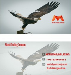 Maruti Trading Company