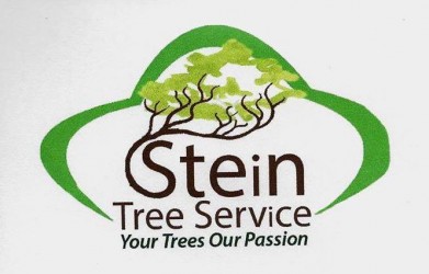Stein Tree Service