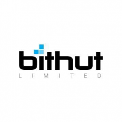 Bithut Limited