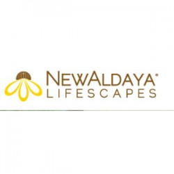 NewAldaya Lifescapes