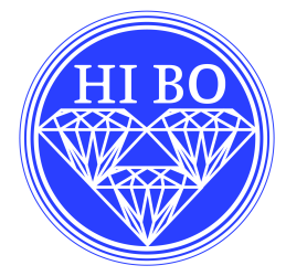 Hi Bo International Technology Limited