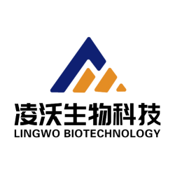 Shandong Lingwo Biotechnology Co. Ltd
