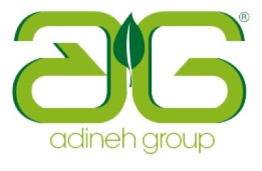 Adine Group