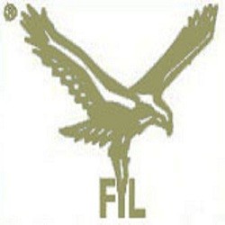 Falcons International Limited