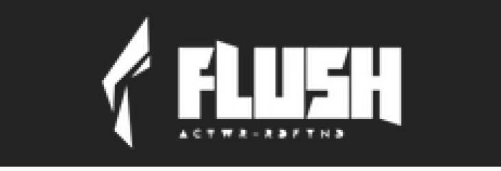 Flush SA