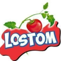 Lostom Industries