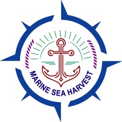 Marine Sea Harvest