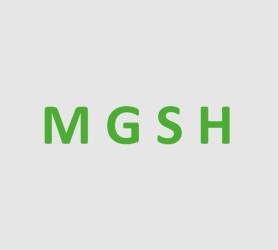MGSH GmbH