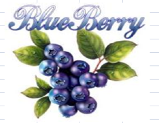 Blueberry Exports Ltd