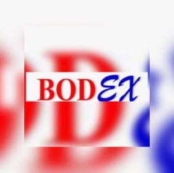 BODEX HOLDING B.V
