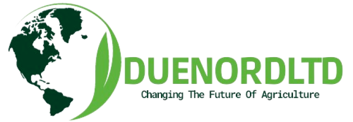 Duenord Ltd