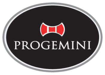 Progemini Consultancy Group