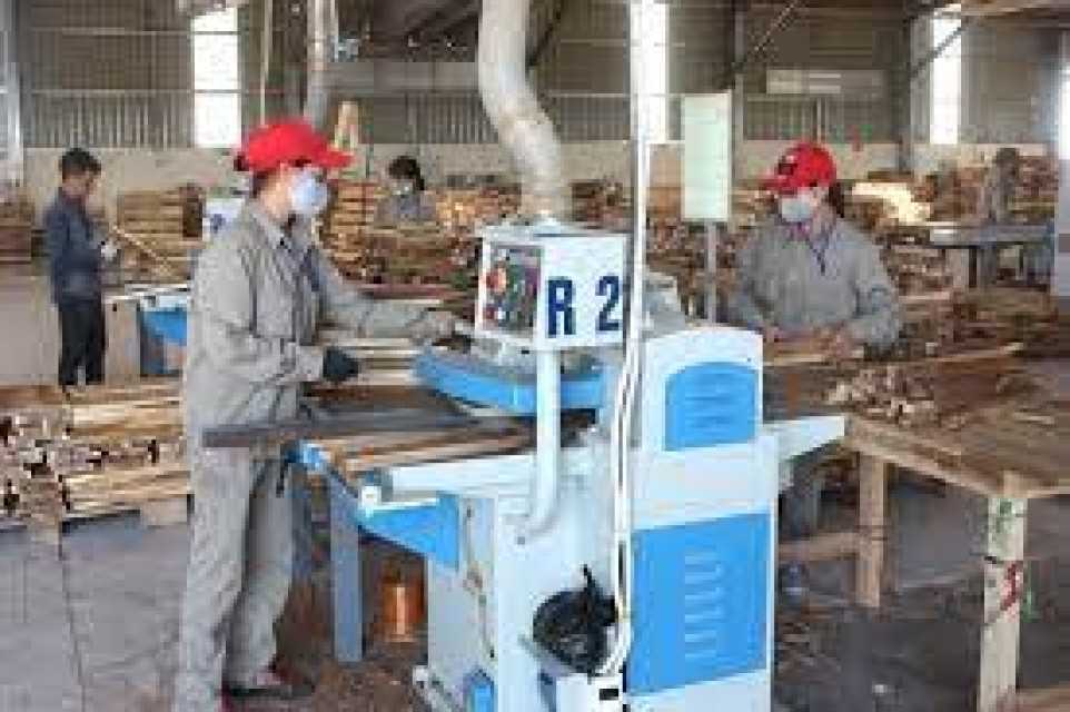 Tan Binh forest product processing factory