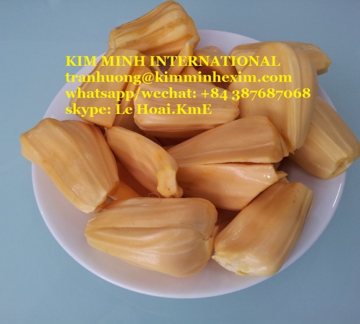 FRESH JACKFRUIT/ FROZEN JACKFRUIT/ DRIED JACKFRUIT WITH HIGH QUALITY