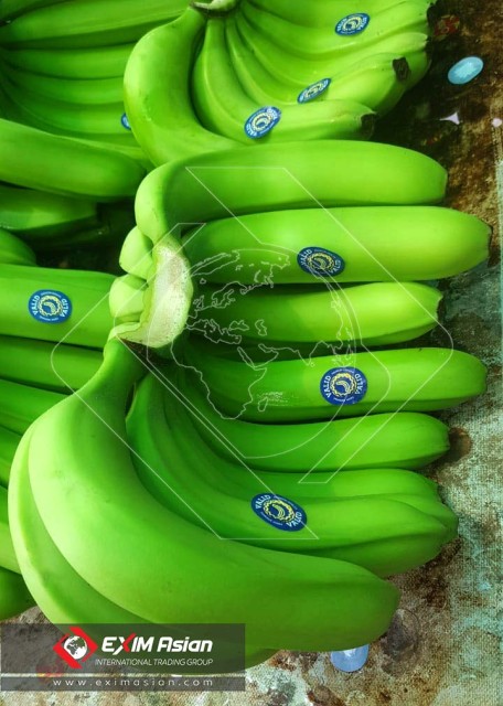 Want to Import Banana to Iran