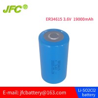Lithium Thionyl Chloride Battery ER34615M