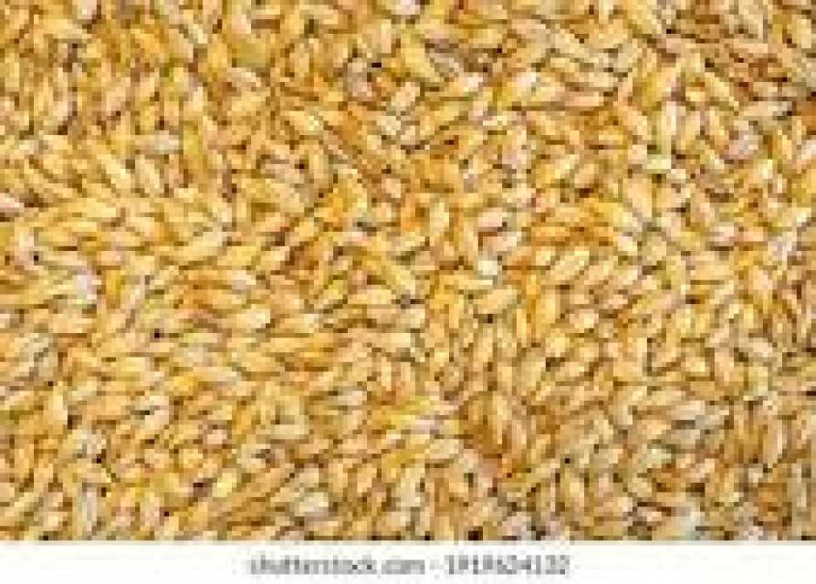 Barley, Fish Meal, Millet